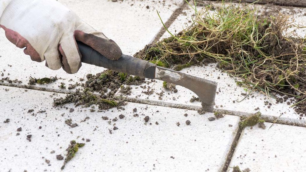 Les dalles en pierre peuvent être nettoyées en douceur et de manière écologique avec des remèdes maison éprouvés - Photo : luili / stock.adobe.com